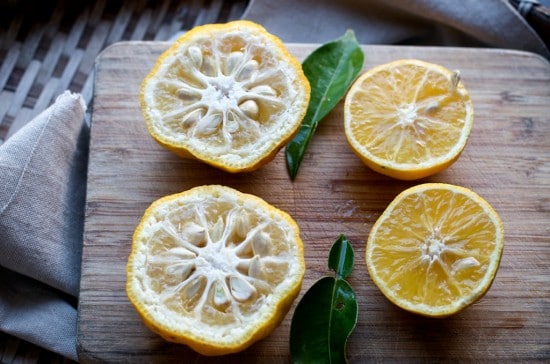 Kabosu Japanese Lemon Kabosu Japanese Lemon