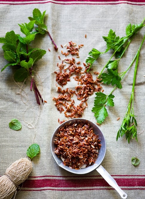 Red Rice Salad w/ Mint and Shallot Vinaigrette – A favorite whole grain
