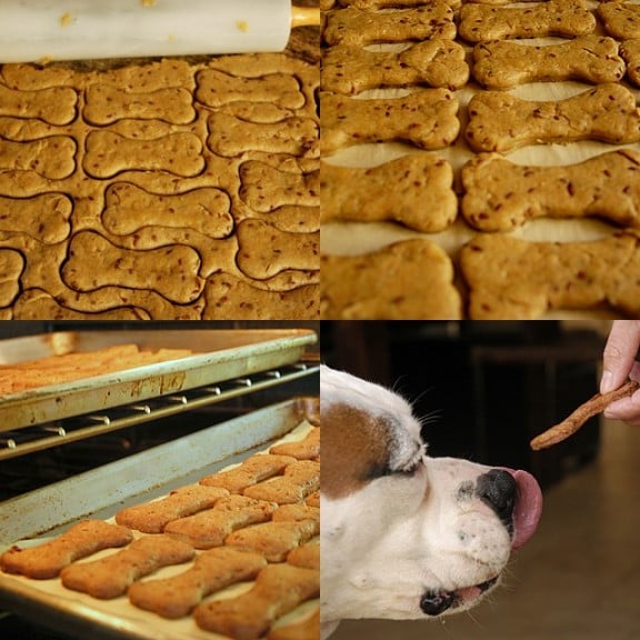 Flax Seed Dog Biscuits Recipe | WhiteOnRiceCouple.com