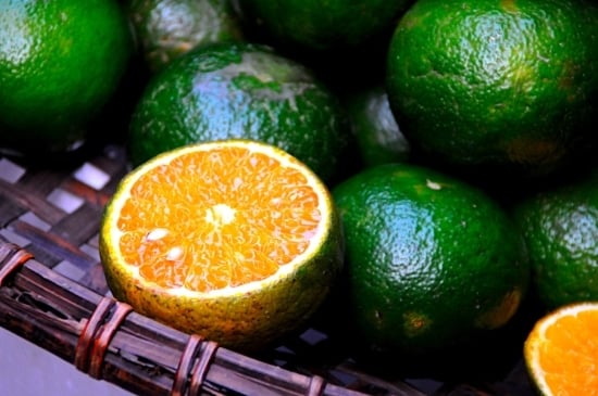 Vietnam Green Oranges