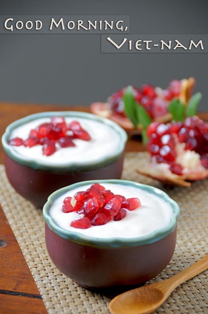 Sweetened Plain Yogurt - VIMA Foods