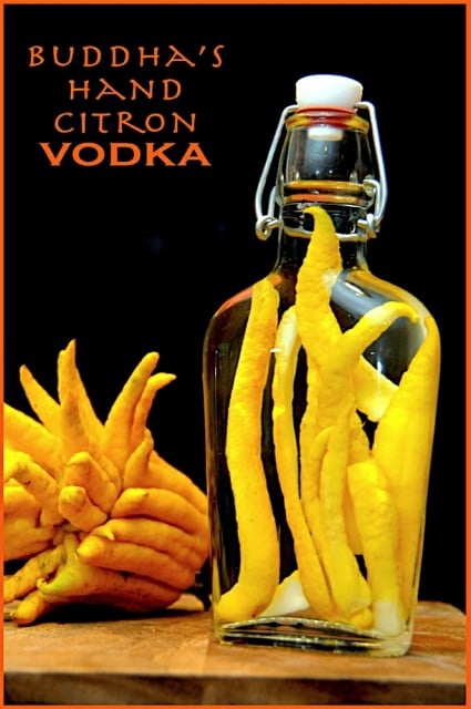 Buddhas Hand Citron for Vodka Cocktail Recipes, Dressings, Marinades and more Buddhas Hand Recipes | @whiteonrice