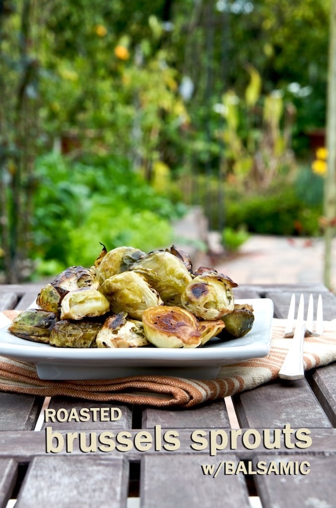 Roasted Brussels Sprouts Recipe With Balsamic Vinegar Best Recipe