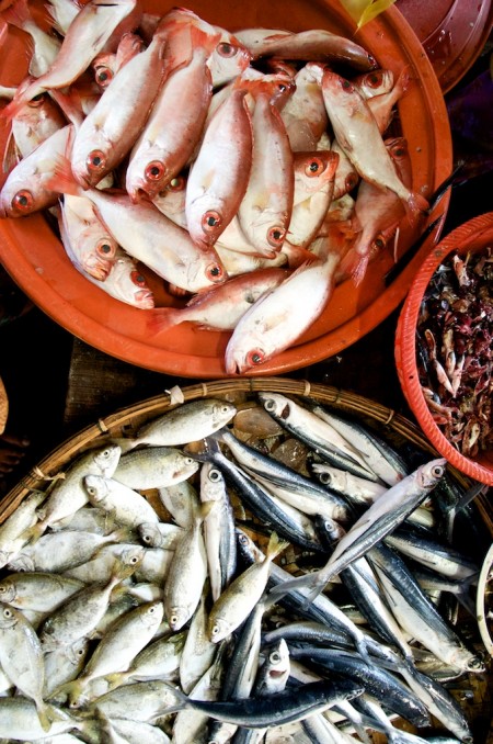 vietnam-seafood-fish