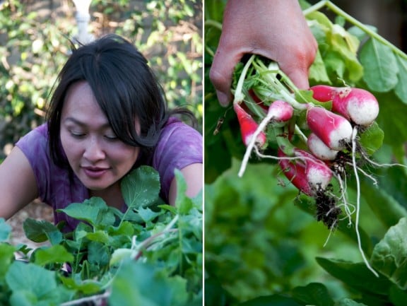 braised-pork-belly-arugula-radish-salad-recipe