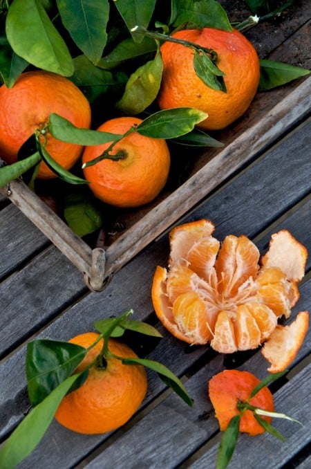 Fremont Tangerine Variety | White On Rice Couple 