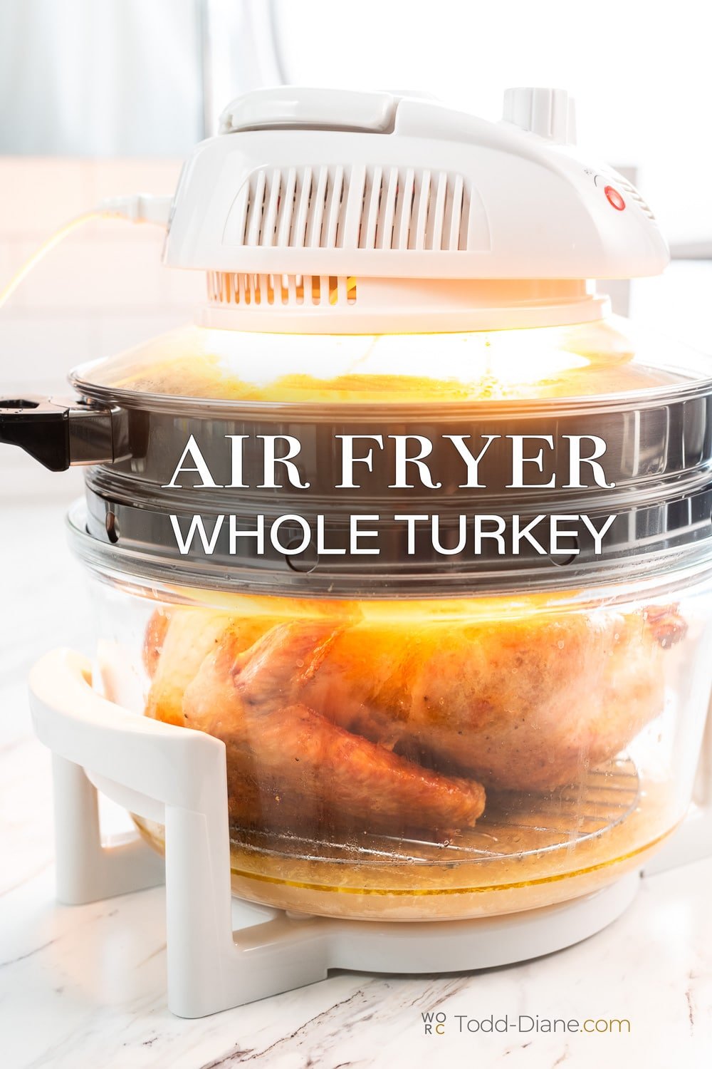 Oil Less Deep Fried Turkey Air Fryer Crispy Skin