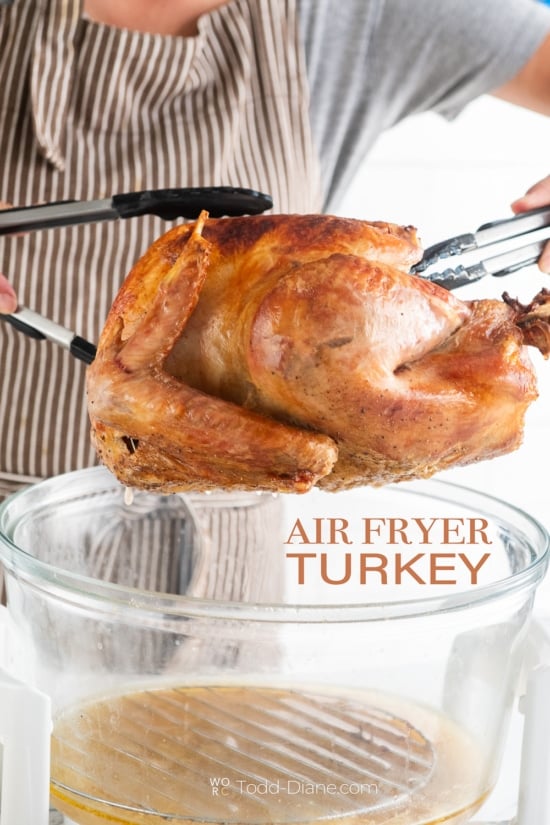 Air Fryer Turkey - Weekend Craft