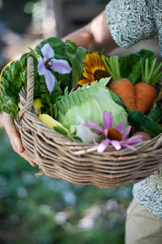 Basket of flowers and fresh picked vegetables