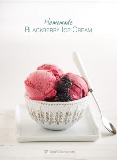 bowl of blackberry ice cream