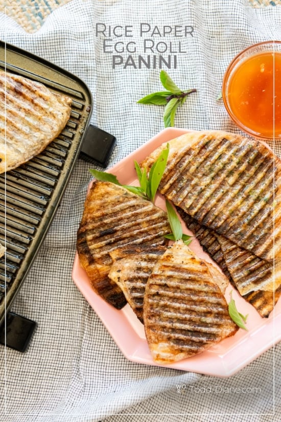 plate of crispy rice paper egg roll panini 