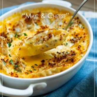dumpling mac and cheese with spoon