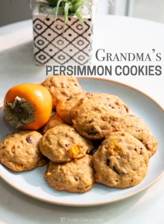 Plate of persimmon cookies
