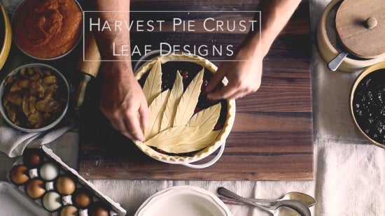 Tutorial on How to Make Leaf Pie Designs