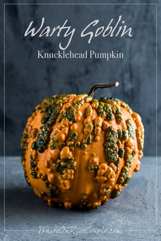 Ultimate Winter Squash and Pumpkin Guide from Todd & Diane