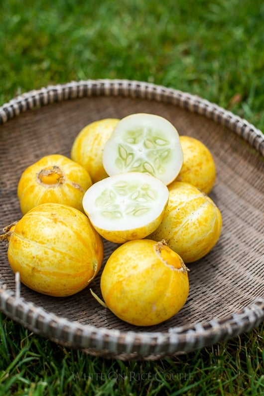 What is a lemon cucumber? How to grow a lemon cucumber | @whiteonrice