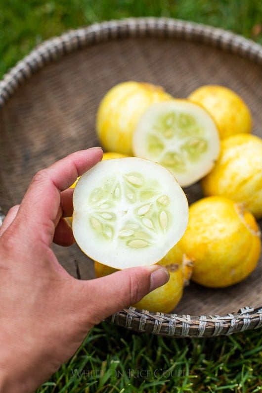 What is a lemon cucumber? How to grow a lemon cucumber | @whiteonrice