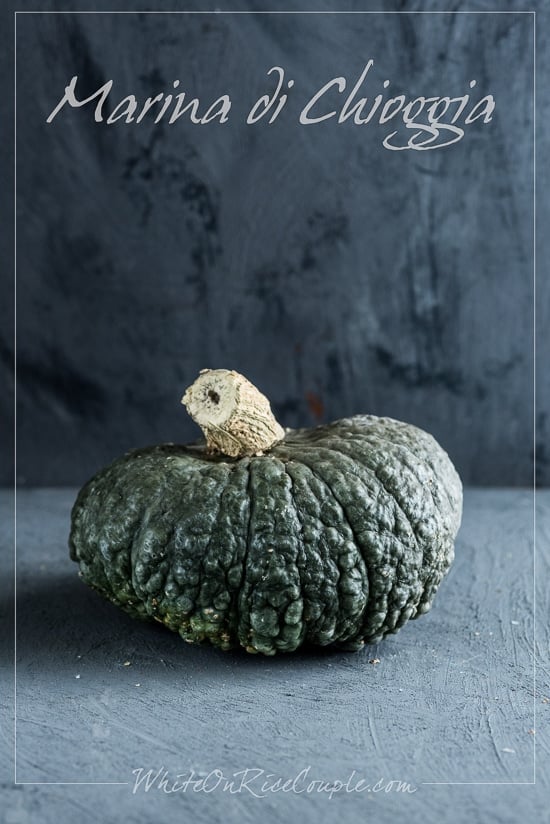 Winter Squash Varieties and Pumpkin Guide by Todd and Diane