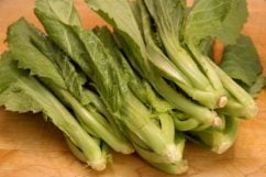 bok choy for shrimp mizuna salad