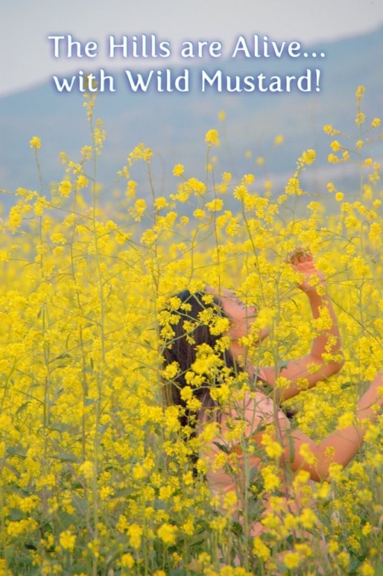 diane in field of mustard flowers | WhiteOnRiceCouple.com