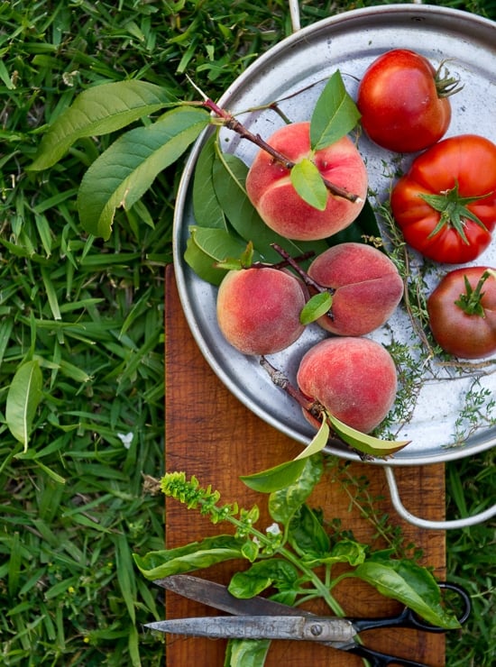 Peach Salad and Heirloom Tomato Salad Recipe | @whiteonrice