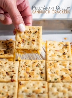 holding pull apart cheese sandwich cracker