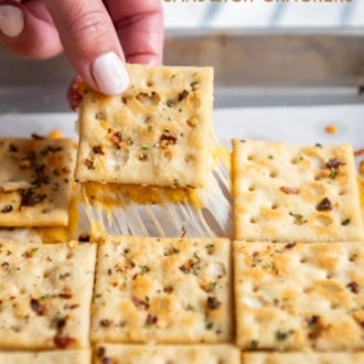 holding pull apart cheese sandwich cracker