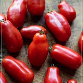 San Marzano Tomatoes Variety | WhiteOnRiceCouple.com