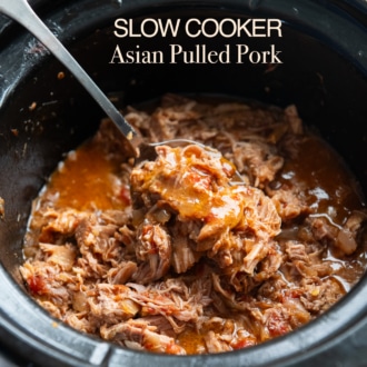 spoon with slow cooker asian pulled pork