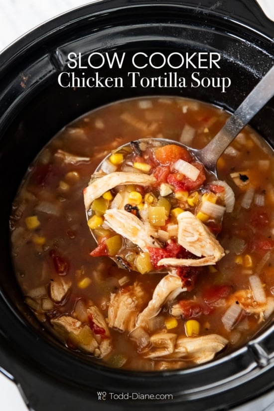 slow cooker chicken tortilla soup with ladle 