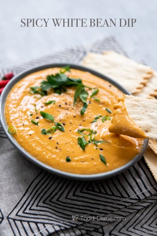 Spicy asian white bean dip with cracker 