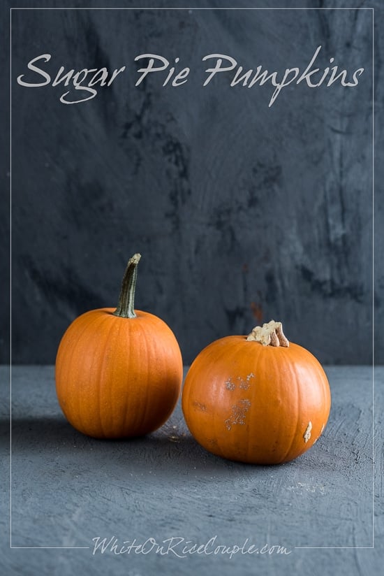 Ultimate Winter Squash Guide and Pumpkin Guide from Todd and Diane