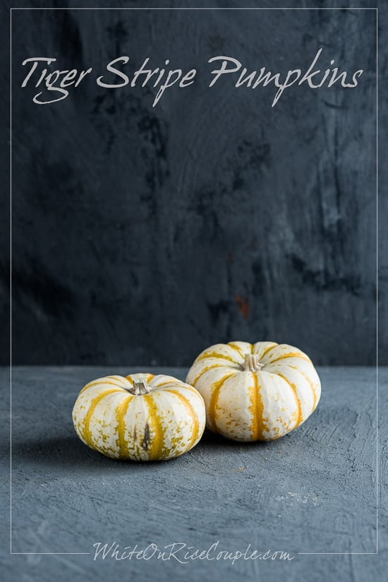 Ultimate Winter Squash Guide and Pumpkin Guide from Todd and Diane