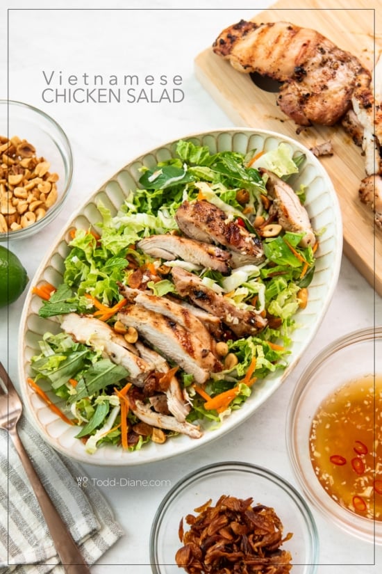 vietnamese chicken salad with toppings 