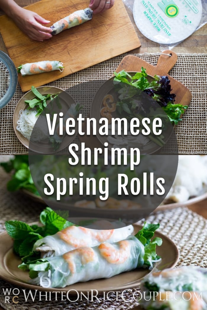 Vietnamese Pork and Shrimp Spring Rolls collage
