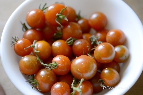Washed tomatoes in a bowl