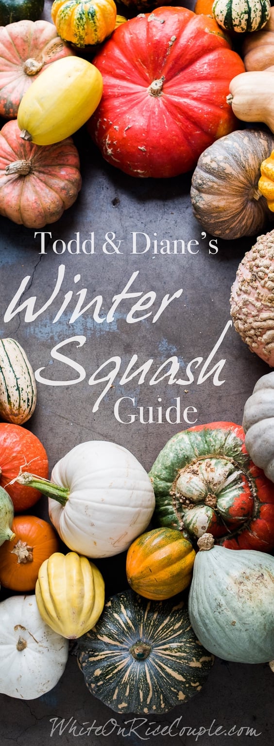 Ultimate Winter Squash and Pumpkin Guide | @whiteonrice