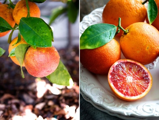 blood oranges on plate 