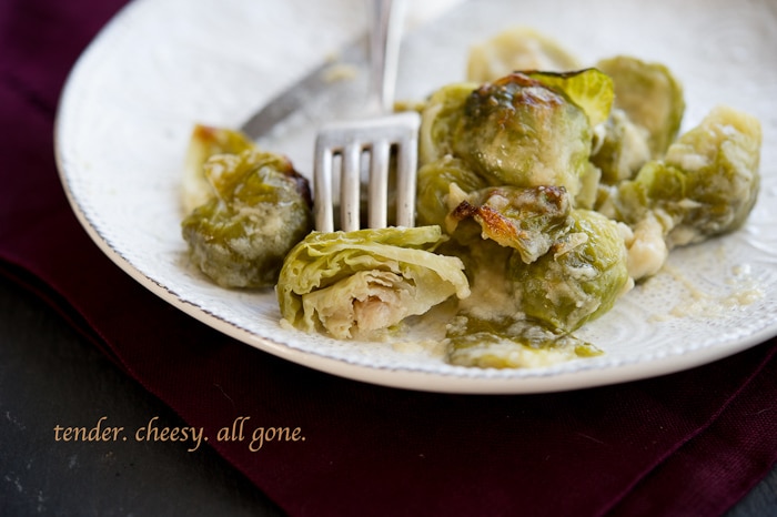 Cheesy Brussels Sprouts Gratin on a plate with a fork