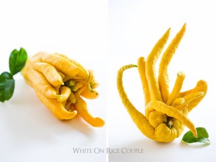 Buddhas Hand Citron for Cocktail Recipes, Dressings, Marinades and more Buddhas Hand Recipes | @whiteonrice