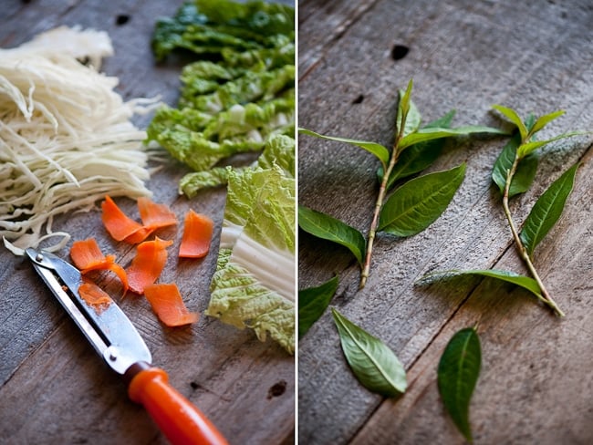 Vietnamese Chicken Salad Recipe | WhiteOnRiceCouple.com