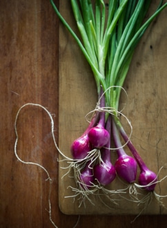 How to Grow cipolla onions @whiteonrice