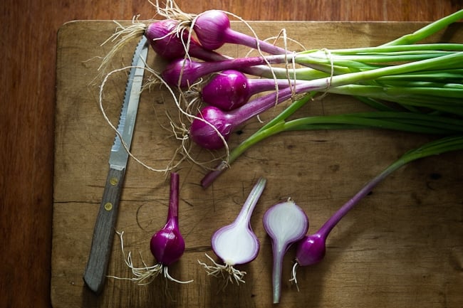 How to Grow cipolla onions @whiteonrice