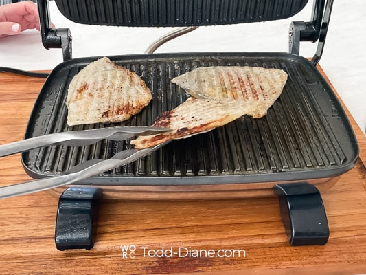 turning rice paper egg roll panini