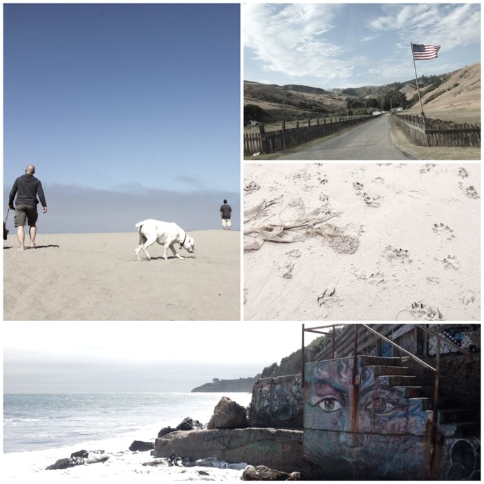 Dog friendly beach vacation on leash free dog beaches 