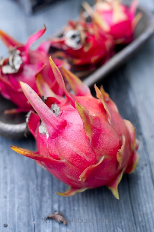 Life Cycle of Dragon Fruit Photos