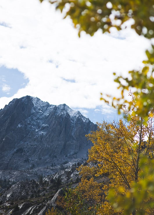 Fall colors in the Eastern Sierras, California: photography by @whiteonrice