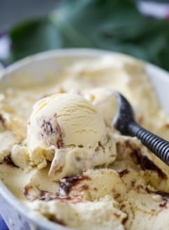 Roasted Fig and Goat Cheese Ice Cream Recipe from White On Rice Couple