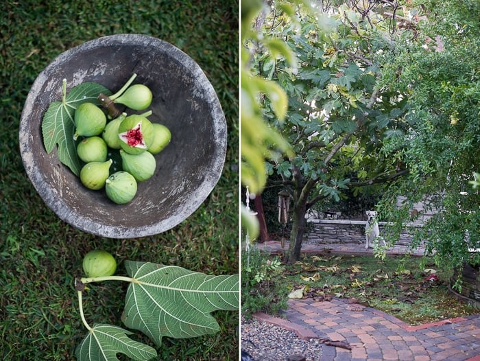 Fig Pecan Sticky Buns Recipe 