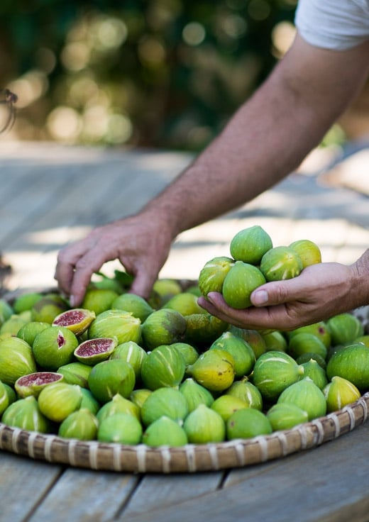 Summer Fun  Fresh Figs